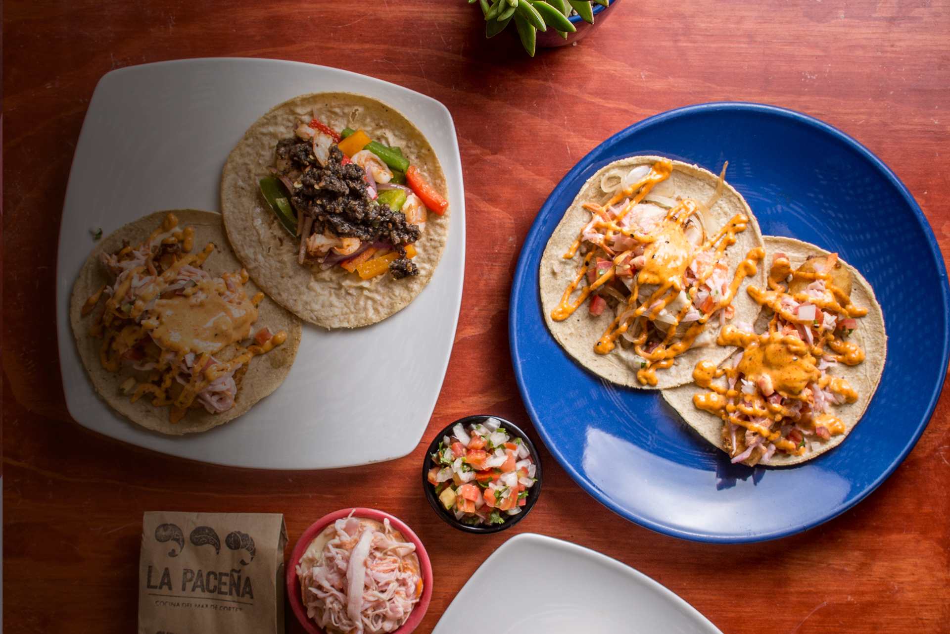 Descarga  <br>Nuestro Menú