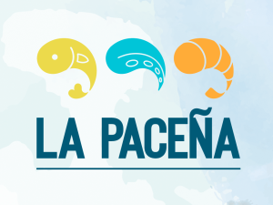 Sin imagen