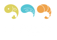 logo color-01
