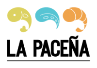 logo color-02